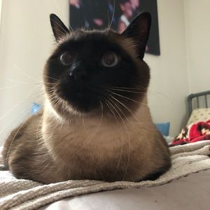 Meet your Posher, Nick